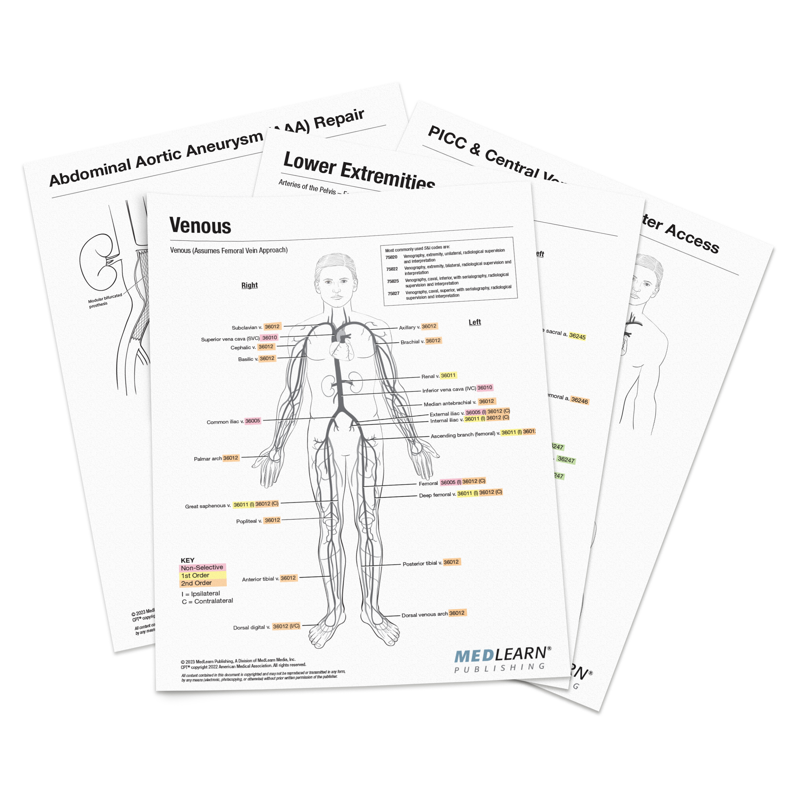 2023 Interventional Radiology Coding Charts