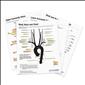 2023 Vascular Interventional Radiology Coding Charts